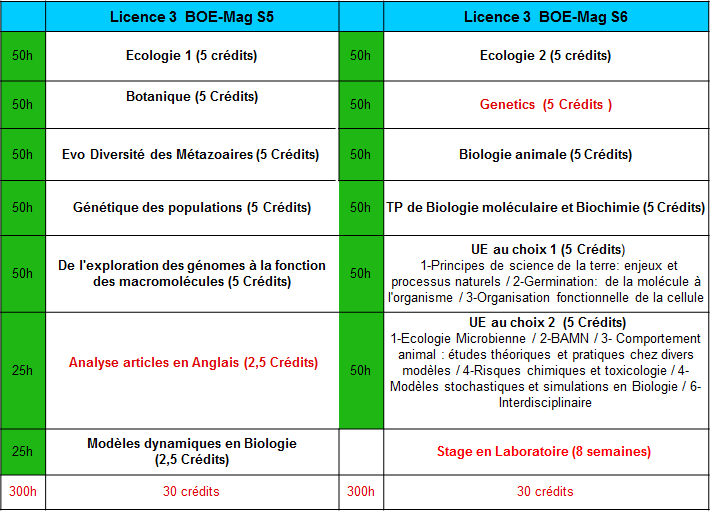 L3BOE